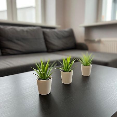 Akmene Center Apartment Naujoji Akmene Esterno foto