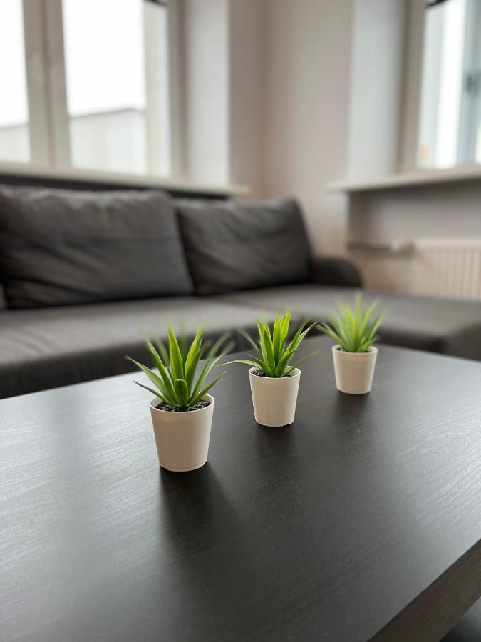 Akmene Center Apartment Naujoji Akmene Esterno foto